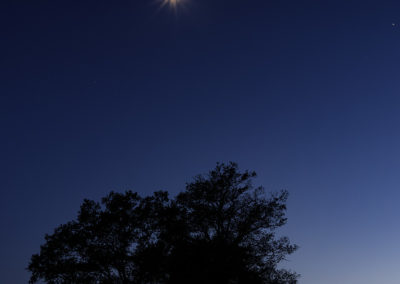Sébastien Crego bleu nuit objet lumineux ciel silhouette arbres