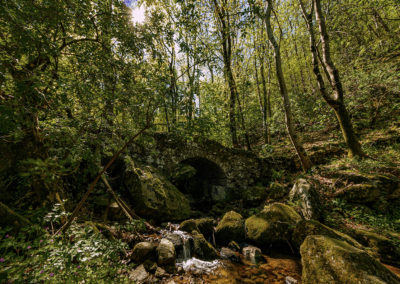 Sébastien Crego pont pierre forêt ruisseau rochers