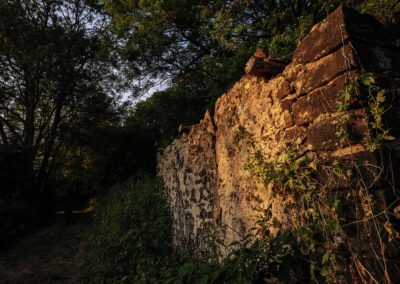 Sébastien Crego ruines maison pierre forêt perche